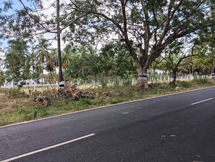 Single Property Image