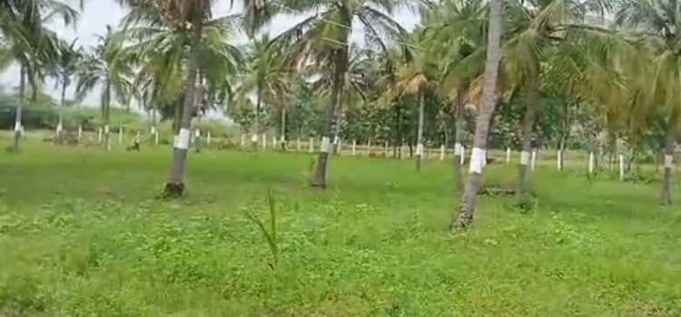 Land for Sale
