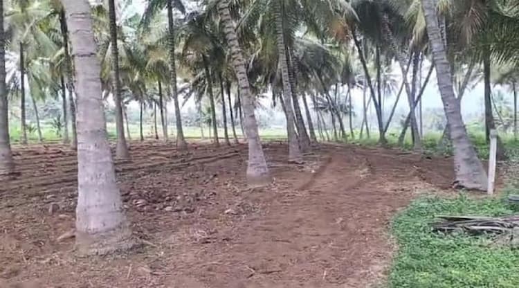 Land for Sale