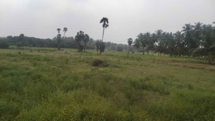 87.5 Cent Agri Land for Sale in Paravakali Palayam