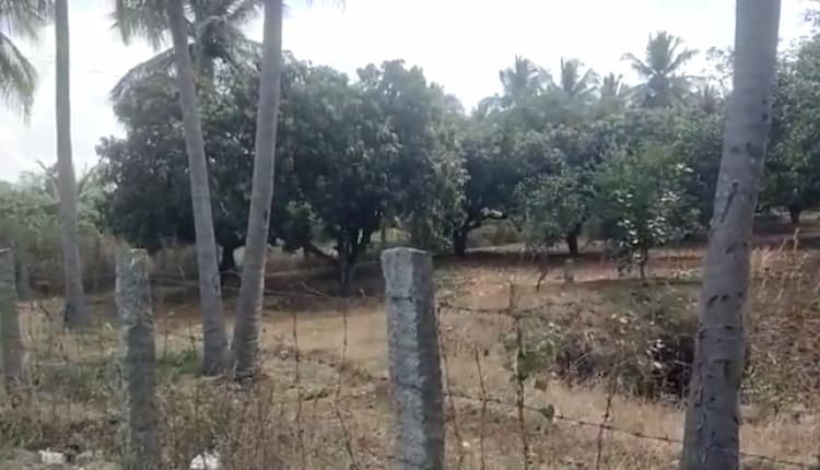 2.50 Acre land for sales