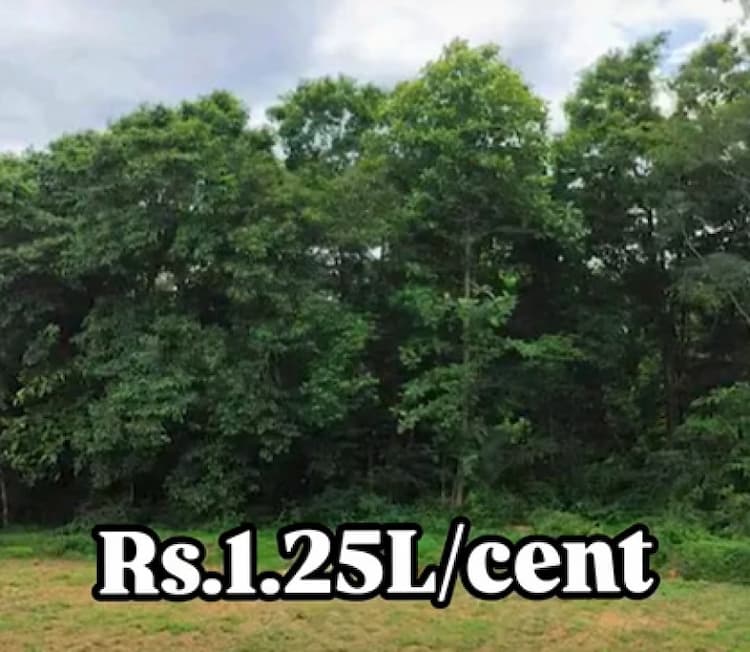Single Property Image