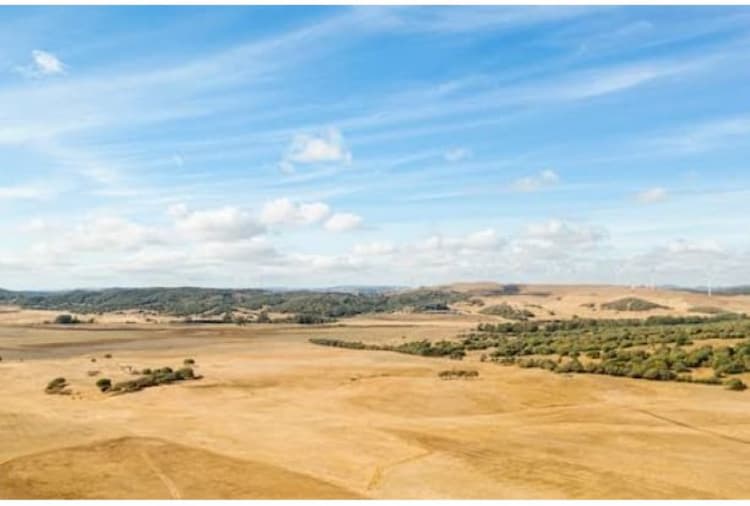 Plot for sale