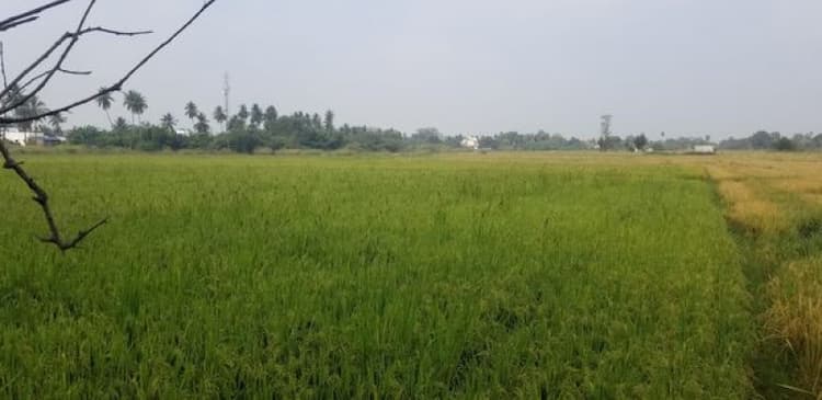 Farm land sale
