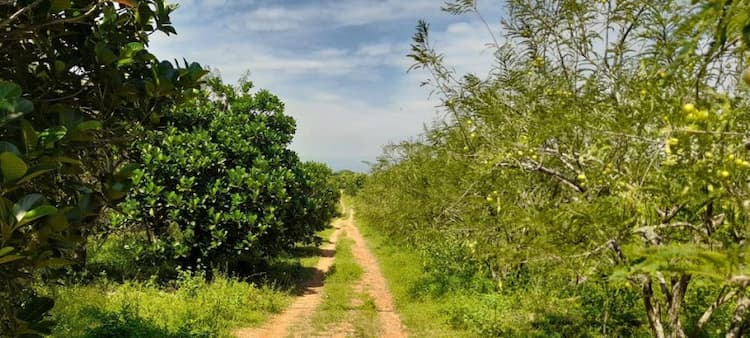 Single Property Image