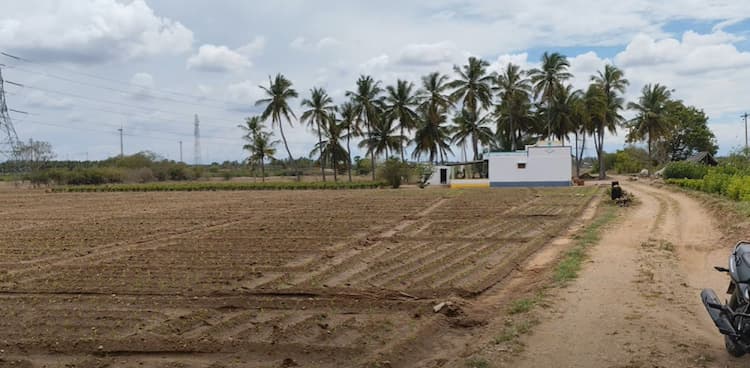 Single Property Image