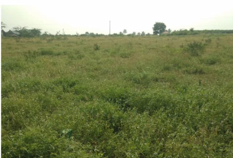 3 acres of land for sale 