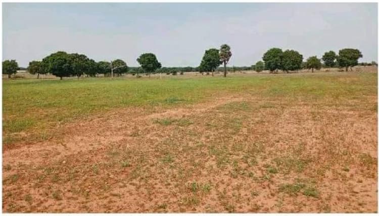 LAND FOR SALE