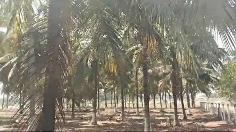 5 Acre Land for Sale