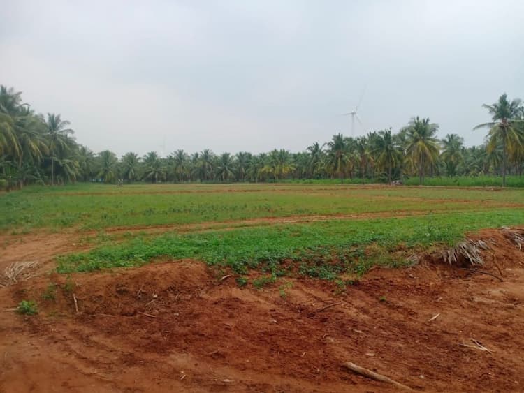 32 Cent Farm Land for Sale