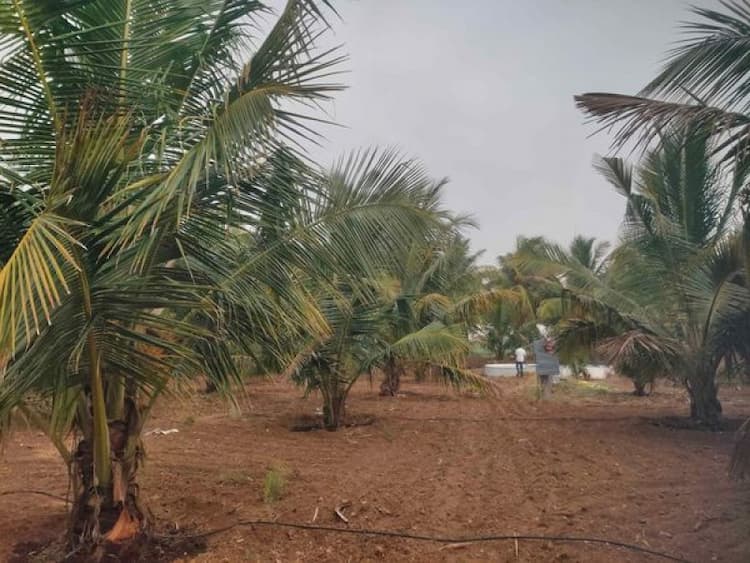 Land with Farm House for Sale