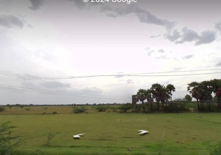 2 Acre Punjai Land for Sale in Seyyanur