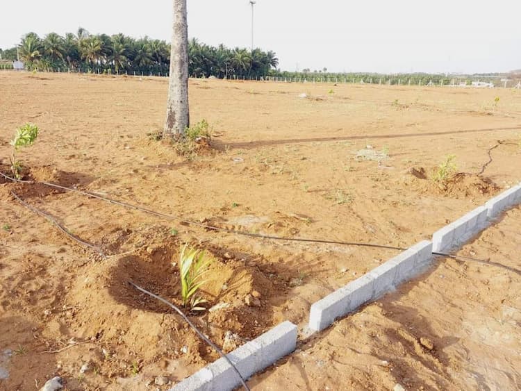 LOW BUDGET DTCP PLOTS FOR SALE