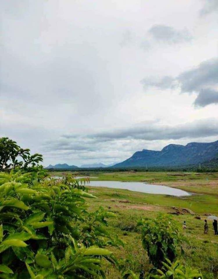 3 acre Land for sale