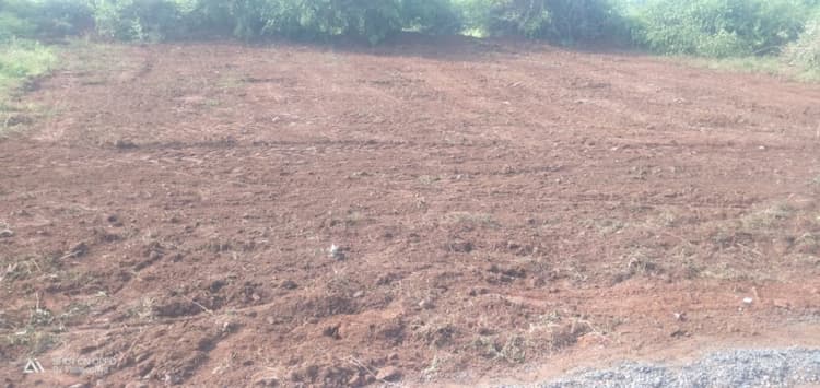 4.60 cents for sales