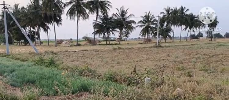 2.50 Acre Land for Sale