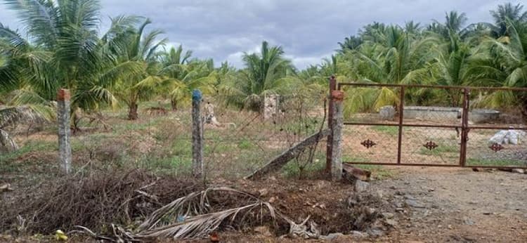 Single Property Image