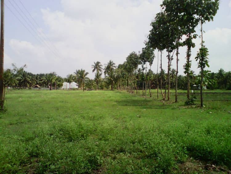 Single Property Image