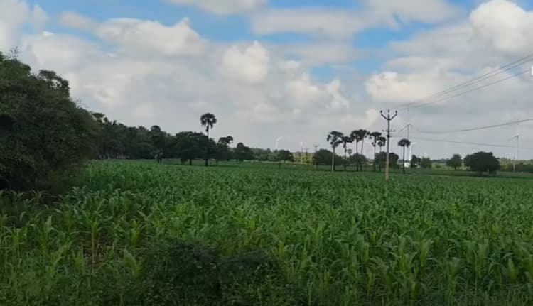 Single Property Image