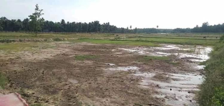 empty land for sale