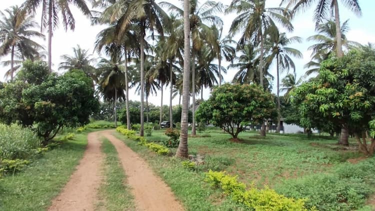 Farm For Sale