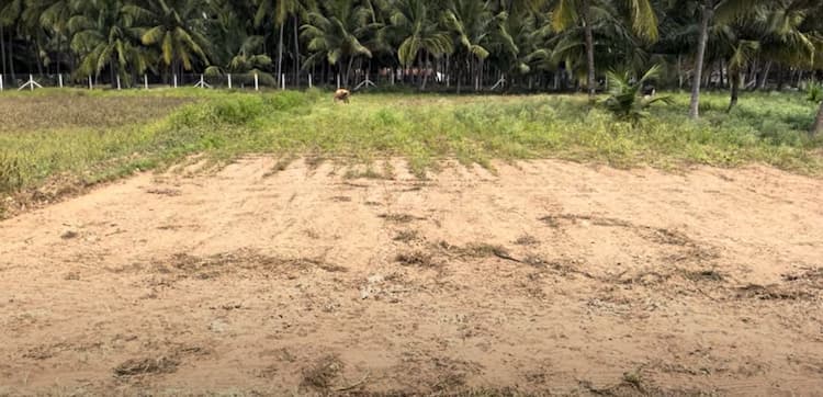 50 Cent Land for Sale