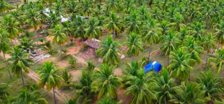 Single Property Image