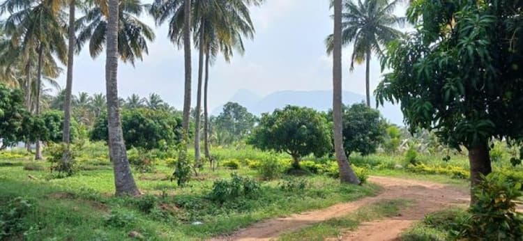 Farm Land For Sale