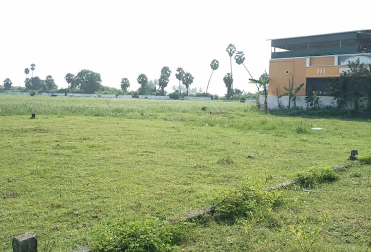 Agriculture Land for Sale