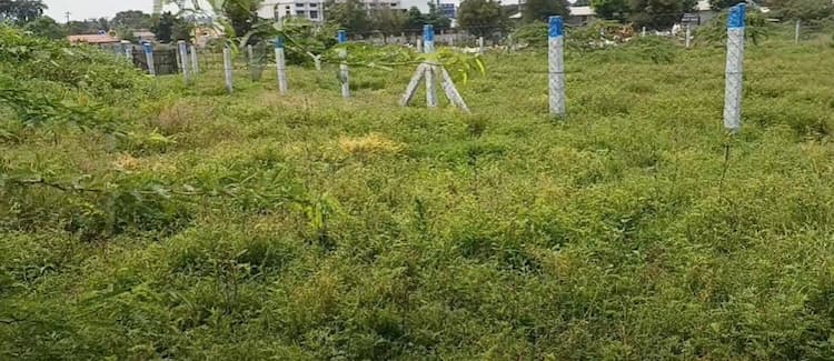 Single Property Image