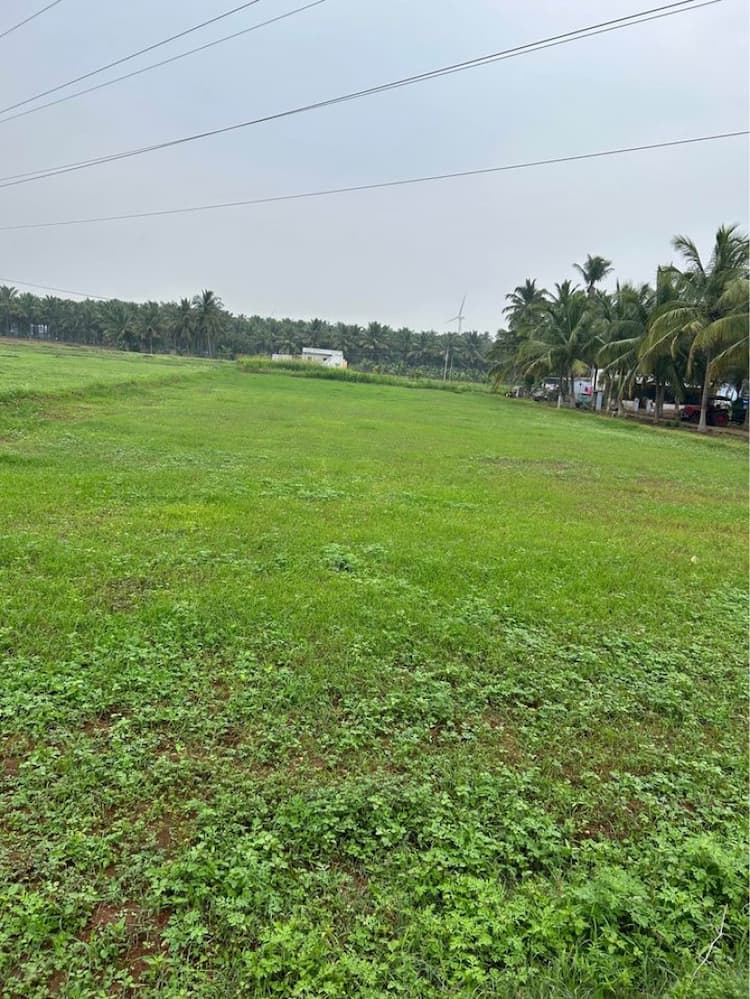 1 Acre 50 Cent Land for Sale