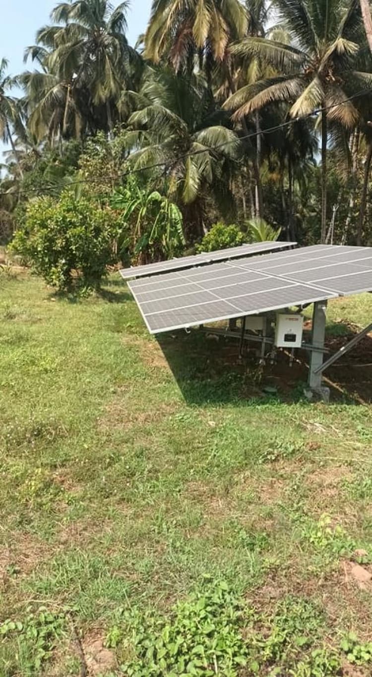 coconut farm land for sale