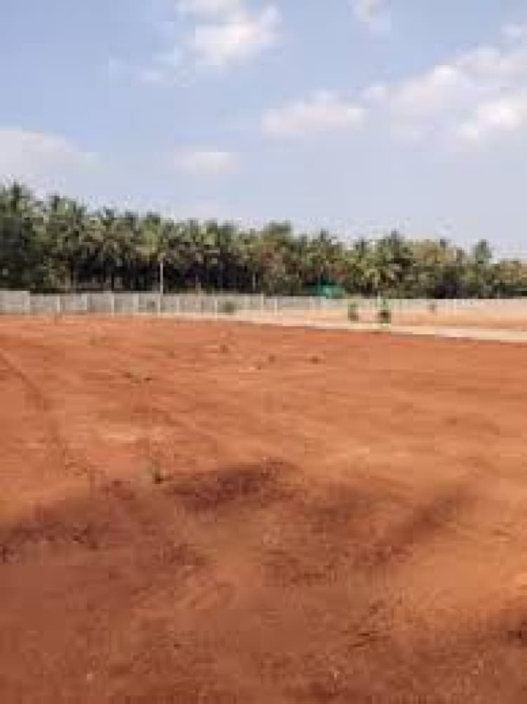 Residential Plot