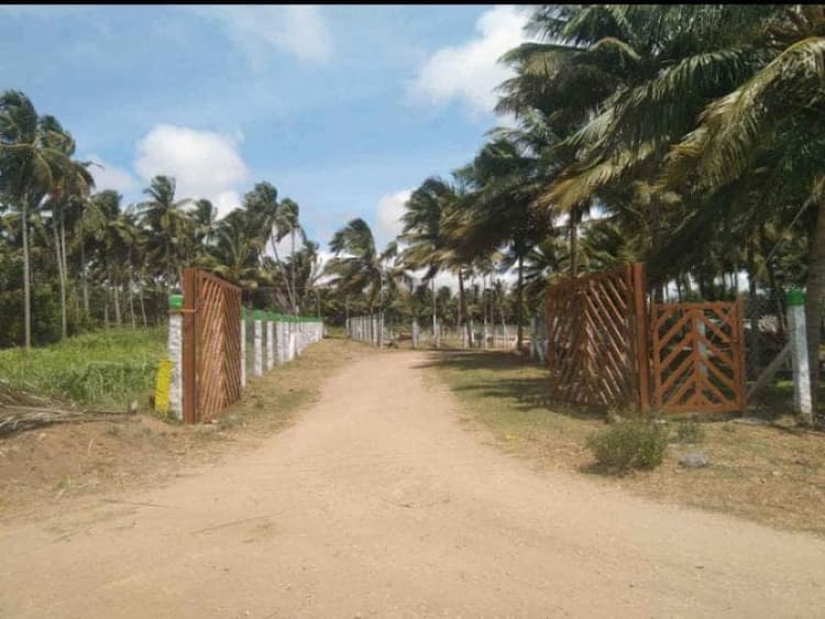 farm land for sale