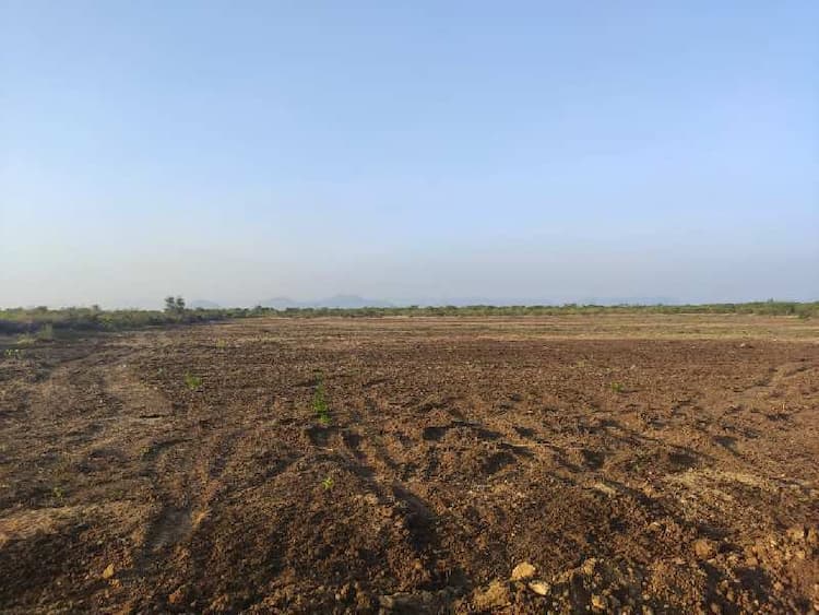 Agricultural Land