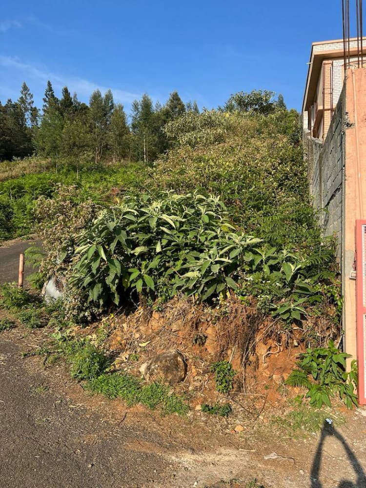 LAND FOR SALE IN OOTY 