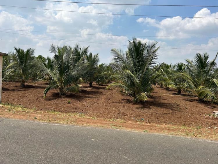 2 Acre 80 Cent Land for Sale