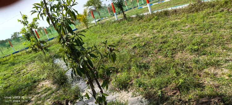 Agriculture Land for Sale