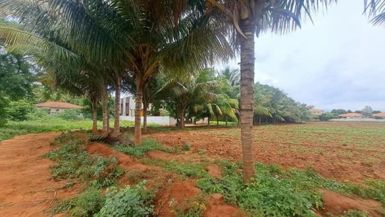 Single Property Image