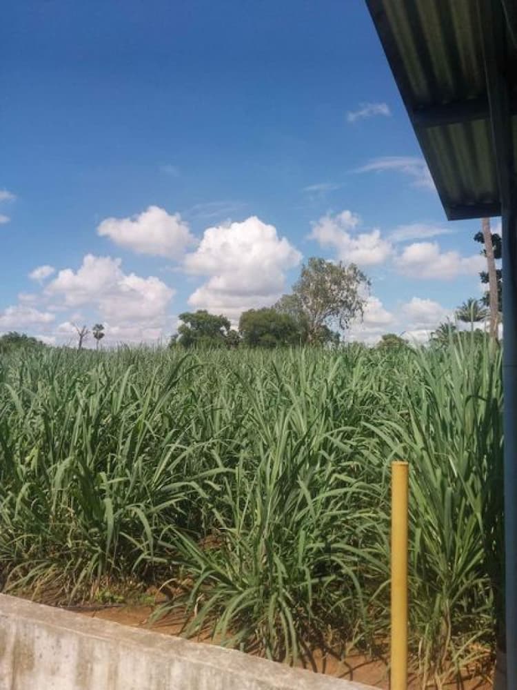 Single Property Image