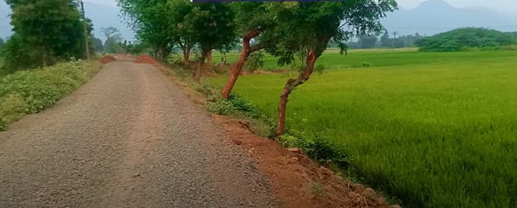 Single Property Image