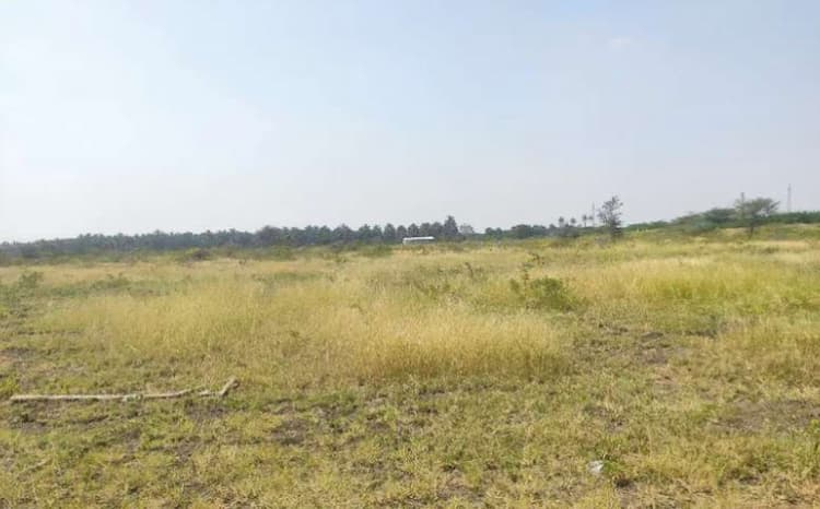 75 Cent Land for Sale