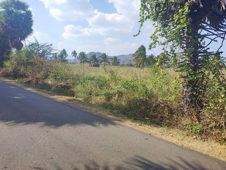 3 Acre AGRICULTURE LAND FOR SALE