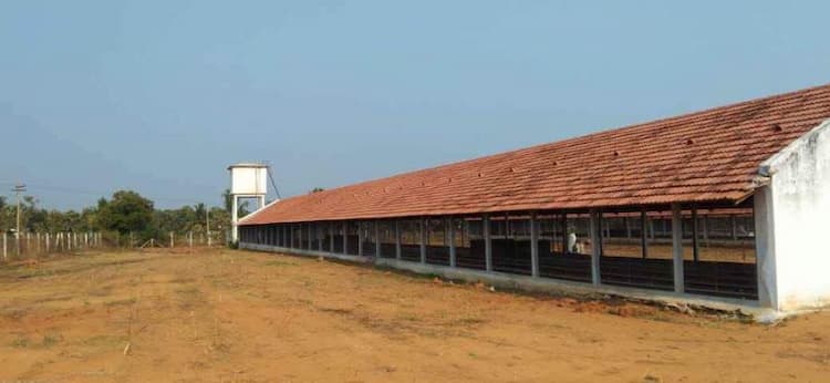 farm land for sale