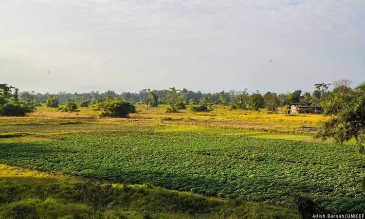 Agricultural Land 