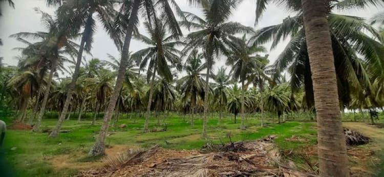 Land sale