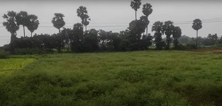 52 Cent Land in Road Base