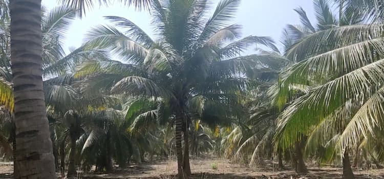 Single Property Image