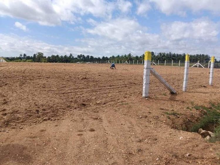 Single Property Image