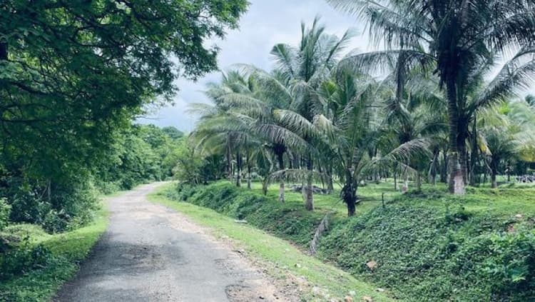 Single Property Image